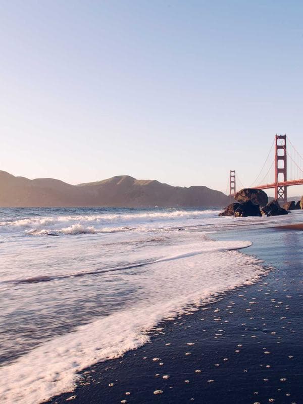 Sara Mansour portrait