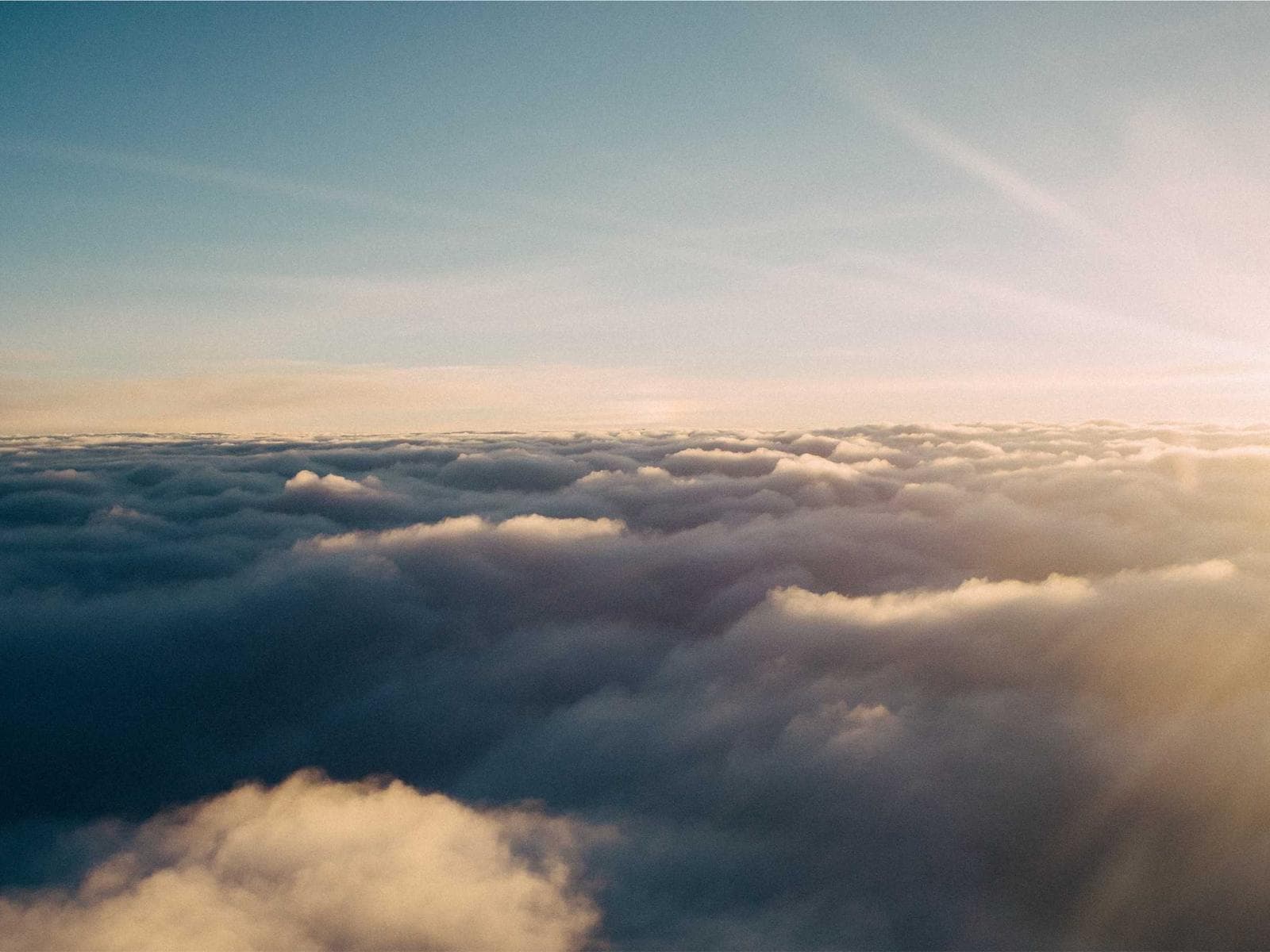 Sara Mansour portfolio image 4