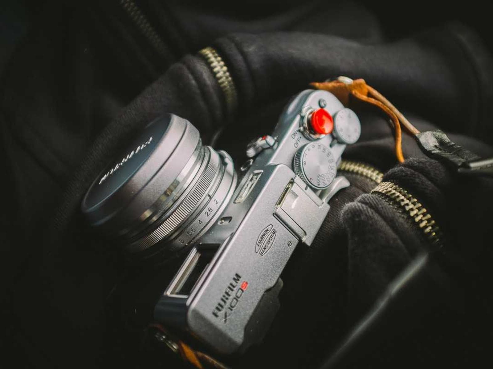 Sara Mansour portfolio image 5