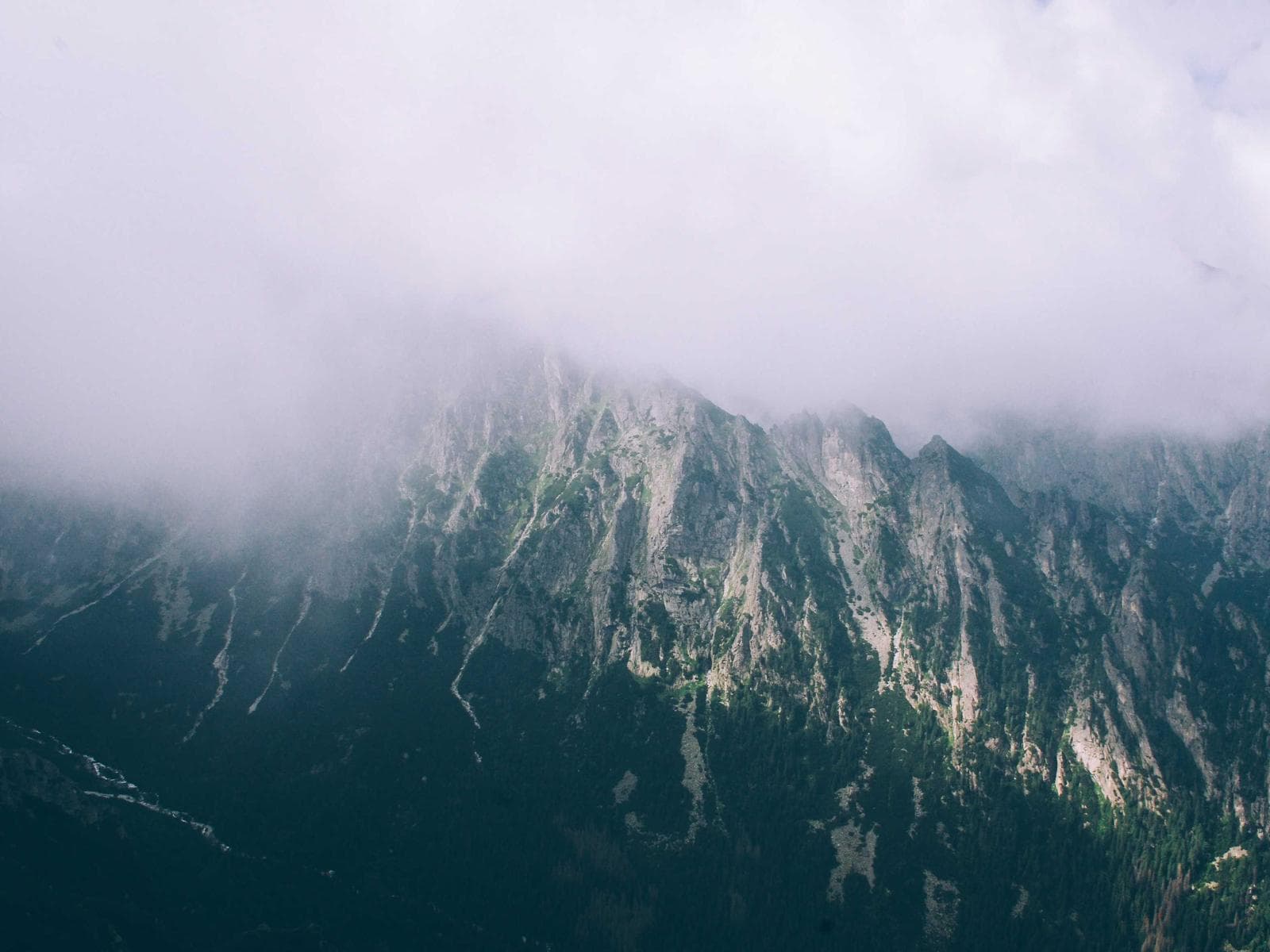 Sara Mansour portfolio image 7